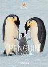 Penguin.