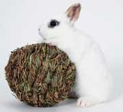MP RABBIT WOVEN GRASS BALL