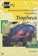 Afrikanische Buntbarsche 2. Tanganjika 1. Tropheus: Die Arten der Gattung Tropheus