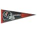 NFL Pennant - Houston Texans Pennant