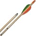 Sporting Goods : Select Cedar Arrows (dozen) (DZN)