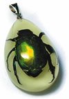 Glow in the Dark Green Chafer Beetle 2