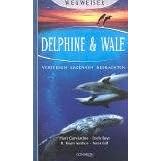 Delphine & Wale. Verstehen - Erkennen - Beobachten (Wegweiser) (Gebundene Ausgabe)