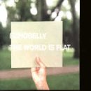 The World Is Flat