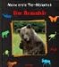 Meine erste Tier-Bibliothek, Der Braunb�r