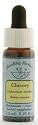 Flower Essence Services (FES) - Chicory - Healingherbs Flower Essences of Dr. Bach 1/4 oz