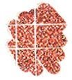 TWINKLETTE GLITTER MARKER RED