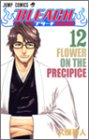 BLEACH―ブリーチ― 12 (ジャンプ・コミックス)