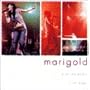 LIVE 2002 Marigold [DVD]