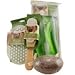 Urban Spa Pumice Stone Exfoliator Image