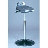 Sit/Stand Rest