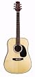 Jasmine by Takamine S-33 Dreadnought Acoustic Guitar