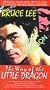 The Way of the Little Dragon [VHS]