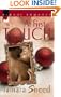 At First Touch (Kimani Romance)