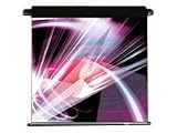 Draper Ambassador - Projection screen (motorized) - 1:1 - Matte White
