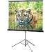 Draper Consul - Projection screen with tripod - 1:1 - Matt White - black