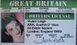 Vivian Leigh (Scarlet O'Hara) Gone with the Wind Fake Drivers License