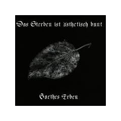 Das Sterben Ist Asthetisch Bun