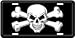 Skull Stamped metal Tag