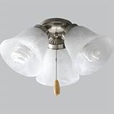 Progress P2600-09 Functional Nickel Light Kit
