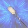 Adams Bros - 30"- 60" Telescopic Lambswool Duster.Pure Wool.Sold in assorted colours.