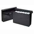 Esselte 02062 Executive series expanding products, 13-pocket file