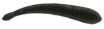 Berkley Gulp! Alive! Leech 18 OZ Bucket, 3-Inch, Black