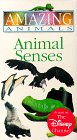 Amazing Animals - Animal Senses