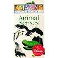 Amazing Animals - Animal Senses [VHS] by 