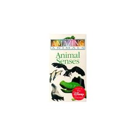Amazing Animals - Animal Senses [VHS]