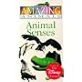 Amazing Animals - Animal Senses [VHS]