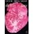 The Way Of Love (Athlone Contemporary European Thinkers)