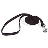 Aspen Pet 3/8 Single Ply Nylon Dog and Cat Leash