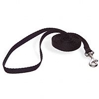 Aspen Pet 3 8 Single Ply Nylon Dog and Cat Leash by Aspen