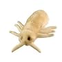 Giant Microbes 5"-7" Plush Louse