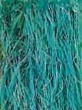 Eigenschaften Coats / Coats - Strickgarn Brazilia Color, 50g Knäuel, Riviera