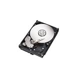 Seagate ST3300831AS Barracuda 300GB Internal SATA Hard Drive with NCQ