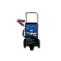 6/12 Volt Professional Battery Charger & Starter