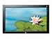 LG M3702C BH 37 LCD flat panel display widescreen 720p HDTV monitor black 211FAQvDcaL. SL75 LG M3702C BH 37 LCD flat panel display widescreen 720p HDTV monitor black