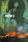 天使に見捨てられた夜