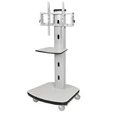 New-BALT 27542 - Mobile Plasma/LCD Stand, 1-Shelf, 30-1/2w x 29-1/2d x 66-1/2h, Gray - BLT27542