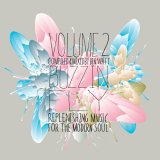 Buzzin' Fly Volume 2 - Mixed by Ben Watt