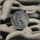 ongaq:stromatolite