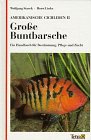 Umschlag