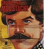 Bandit Costume Moustache