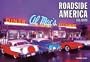 Roadside America: 365 Days