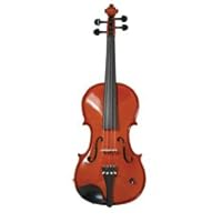 Barcus-Berry Full Size 4/4 European Made Acoustic Electric Violin Outfit - Natural Color
