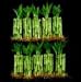 100 Stalks Of 4 Inch Straight Lucky Bamboo For Feng Shui Or Gifts