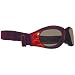 Sporting Goods : Bobster Action Eyewear Cruiser Goggle, Black Frame w/Flames, Anti-Fog Smoke Lens