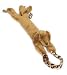 golden_retriever15golden retriever - Dog Doorbell Plush Golden Retriever type